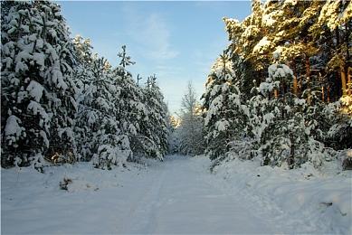 TGA 2024：《权力的游戏：王者之路》新预告