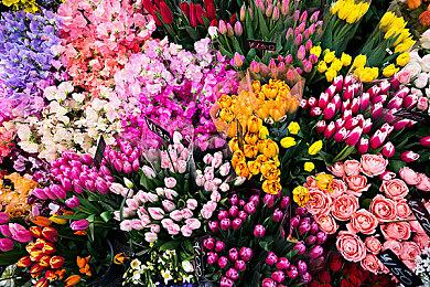 《百英雄传》通过评级 ESRB 10+、4月发售